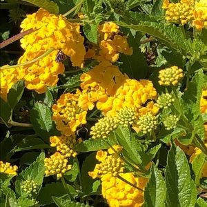 Meet your Posher, Glenn